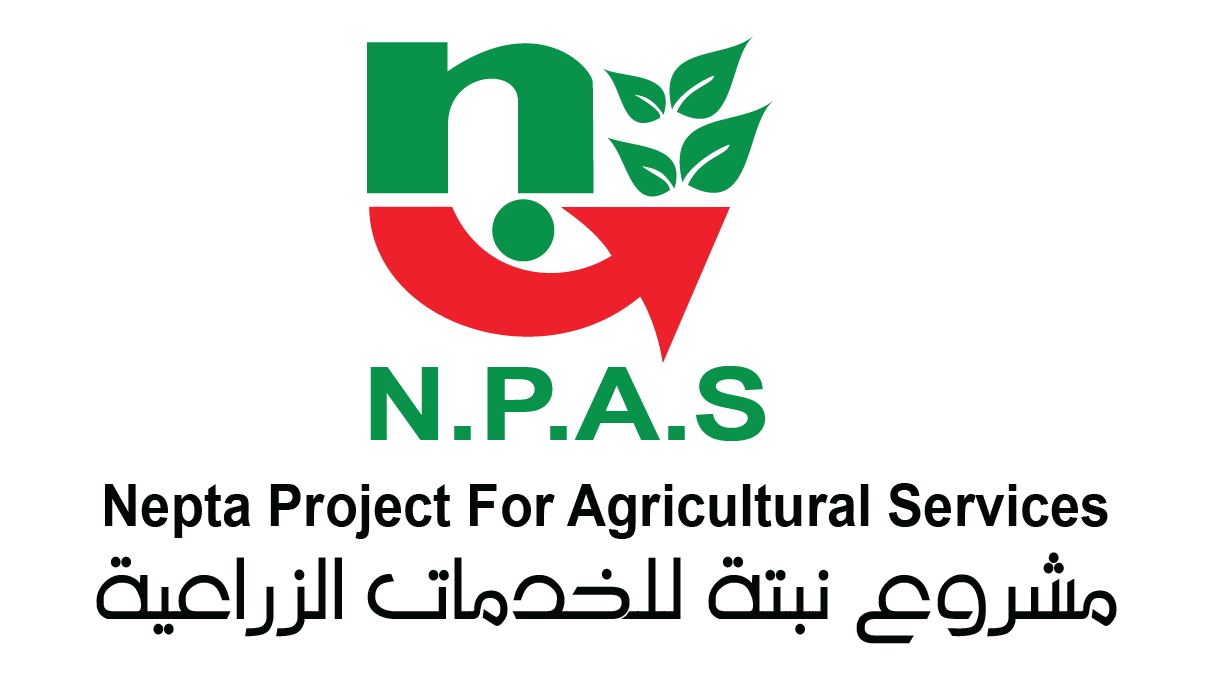 partner-image
